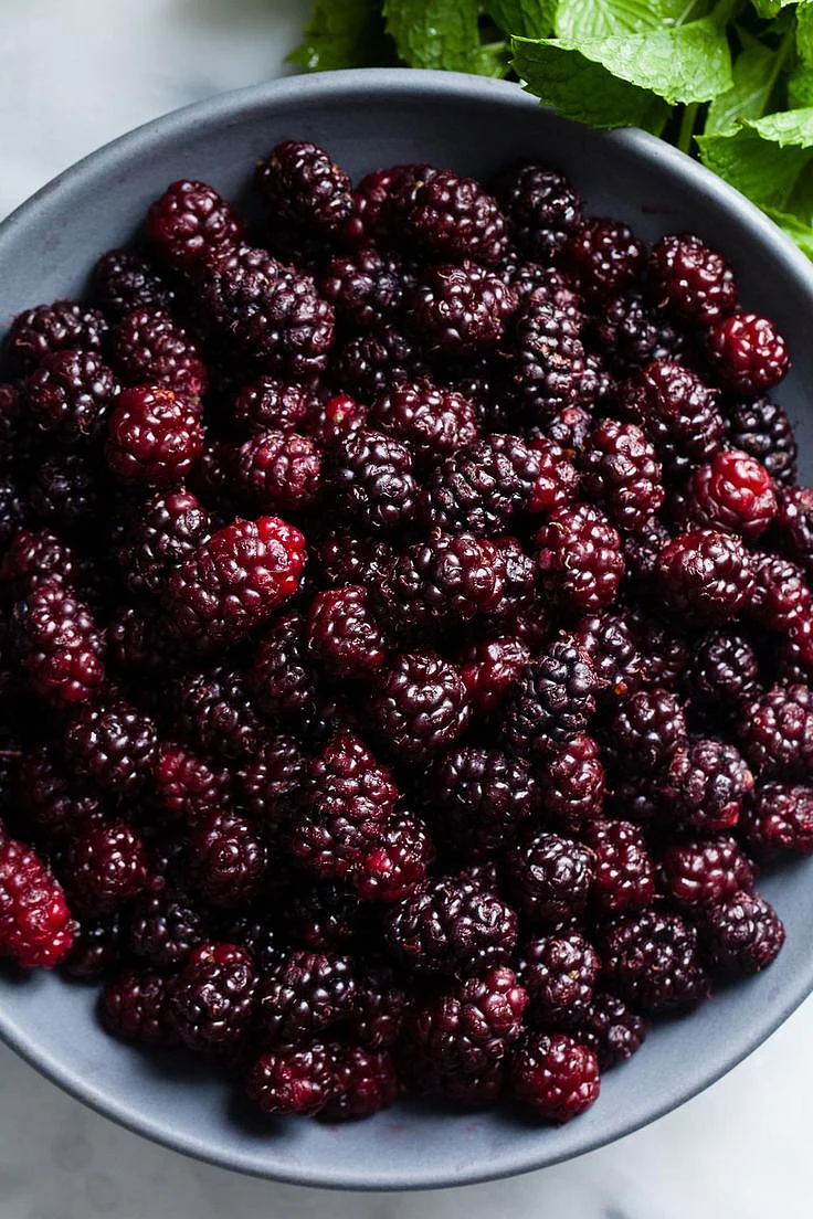Mulberry. 4