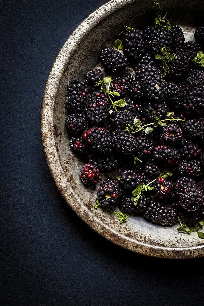 Mulberry. 5