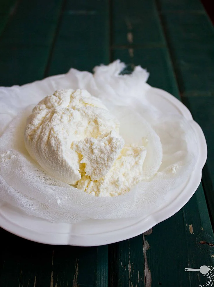 Curd 4