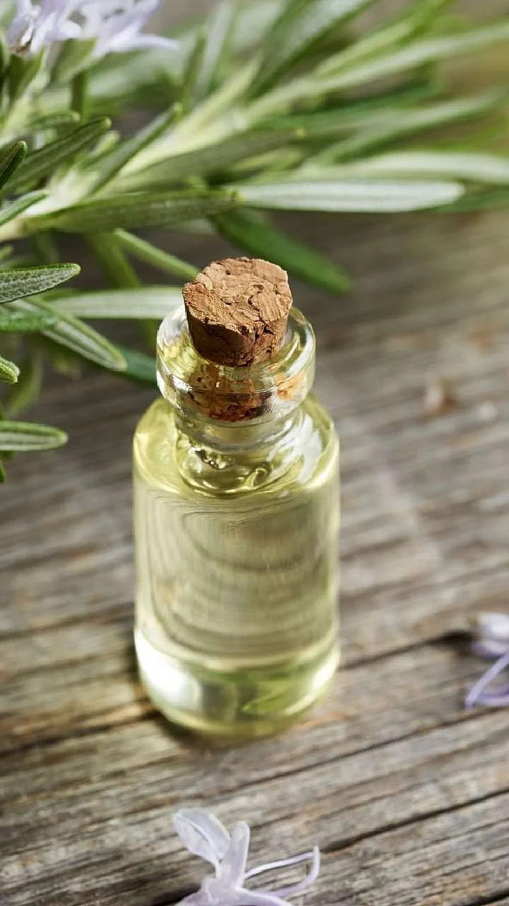 Rosemary Oil. 3