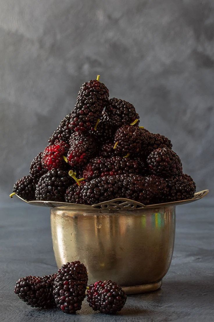 Mulberry. 1