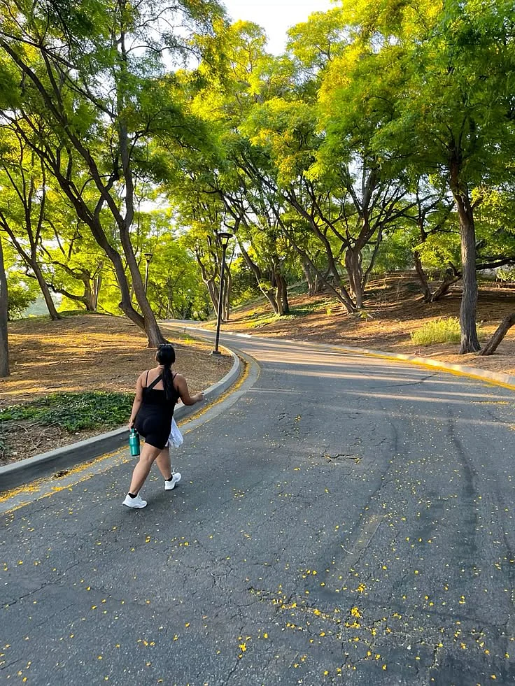 Morning Walk 3