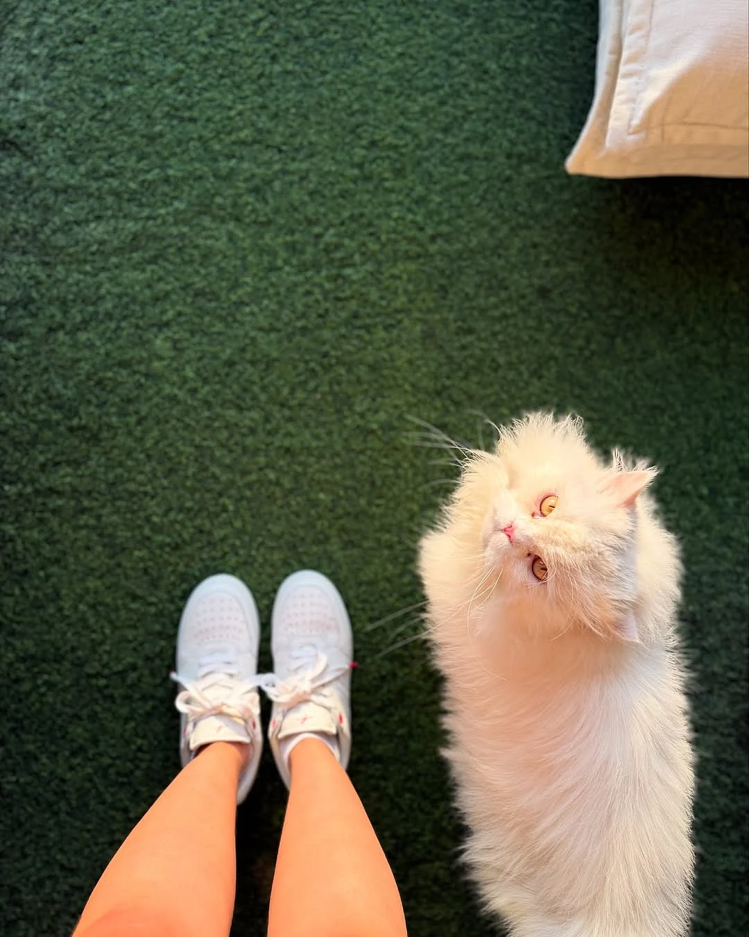 Must Have footwear