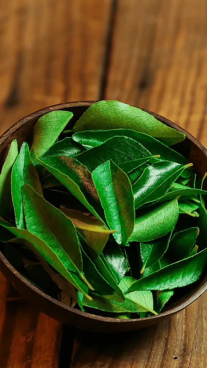 Curry leaf. 1