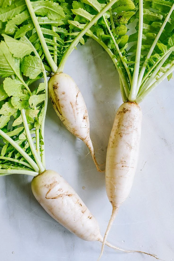 radish