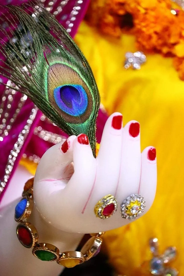 peacock feather in the temple