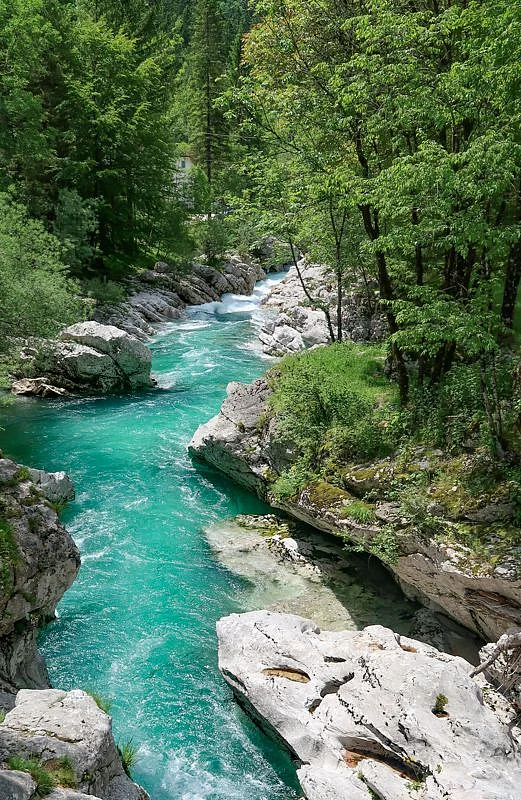 nature