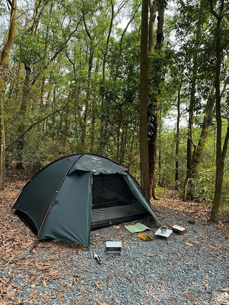 Canopy