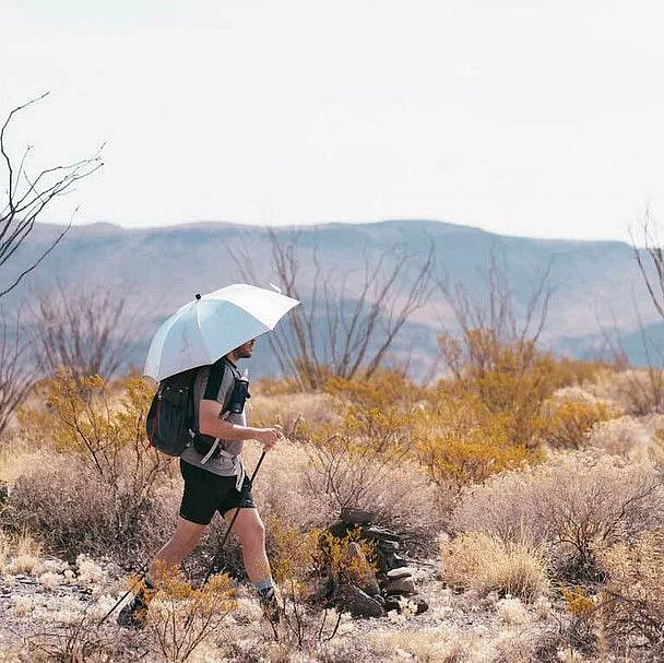 Umbrella
