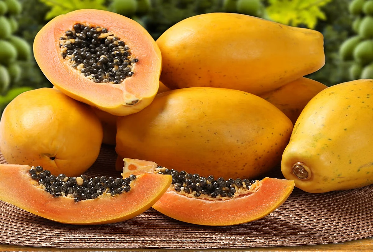 papaya1554276579