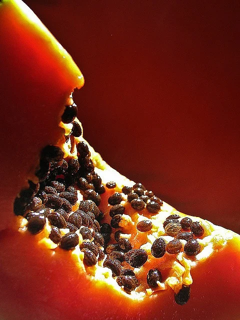 Papaya Seeds. 7