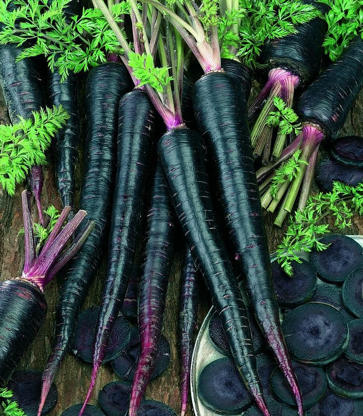 Black Carrots. 1