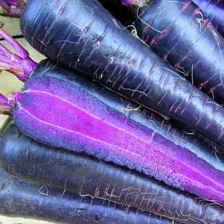 Black Carrots. 2