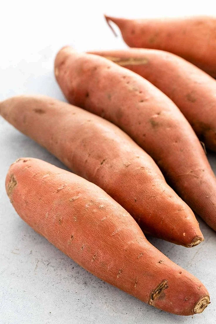 Sweet Potato