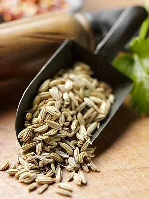 Fennel Seeds. 7
