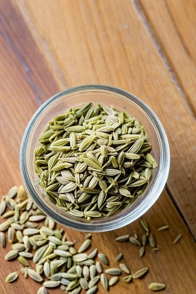 Fennel Seeds. 6