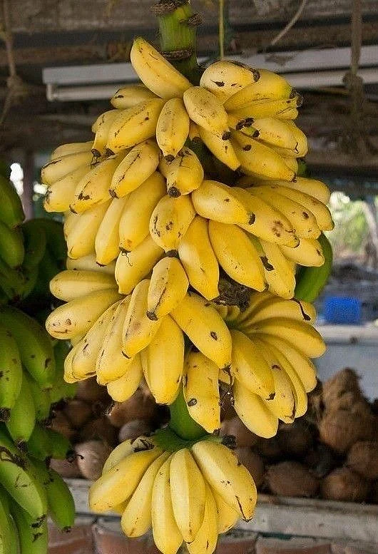 banana. 8