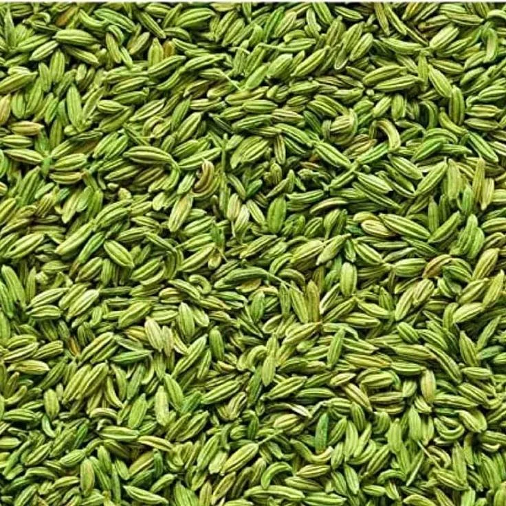 Fennel Seeds. 8