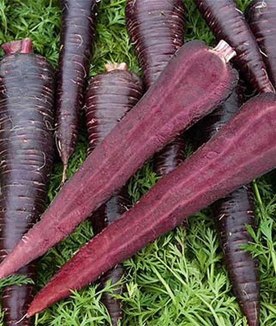 Black Carrots. 5