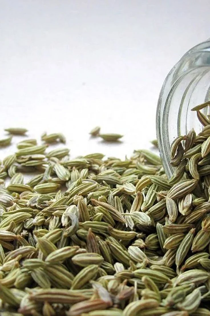 Fennel Seeds. 1