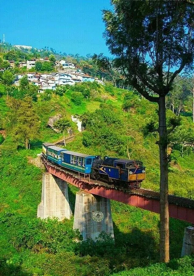 Nilgiri Mountain Railway