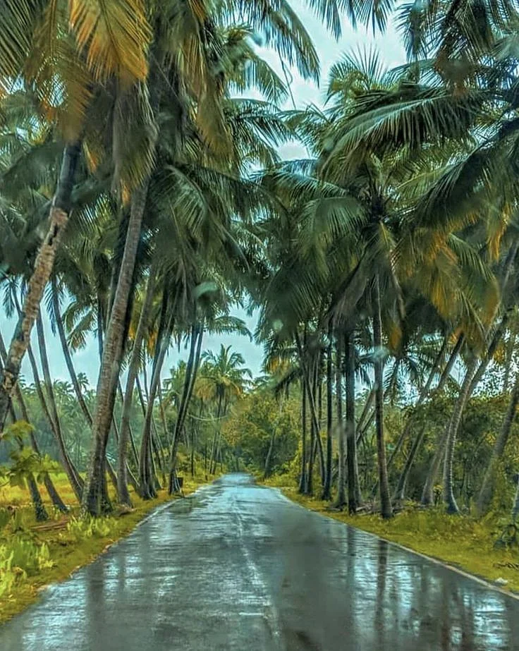 Mangalore to Goa