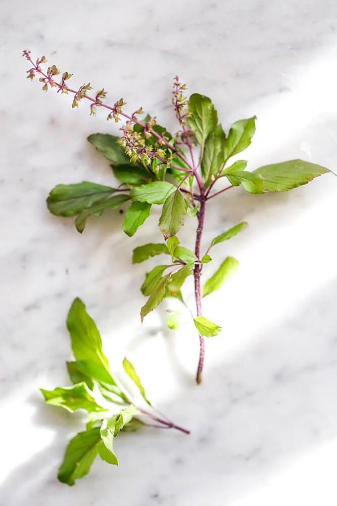 Tulsi water. 4