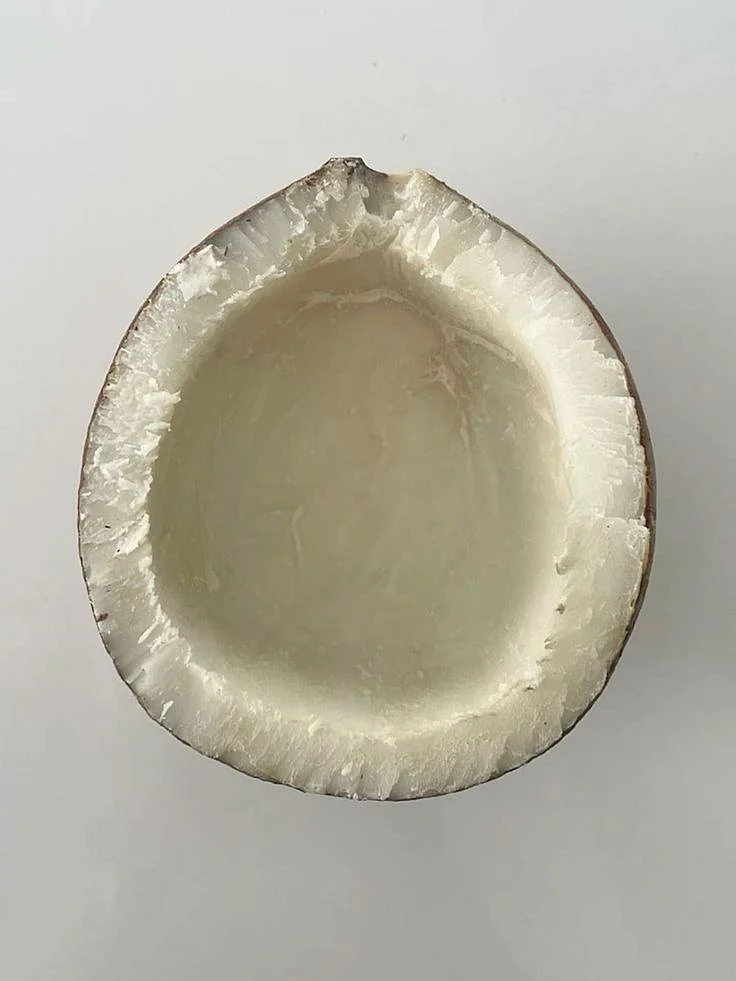 Desiccated Coconut. 8