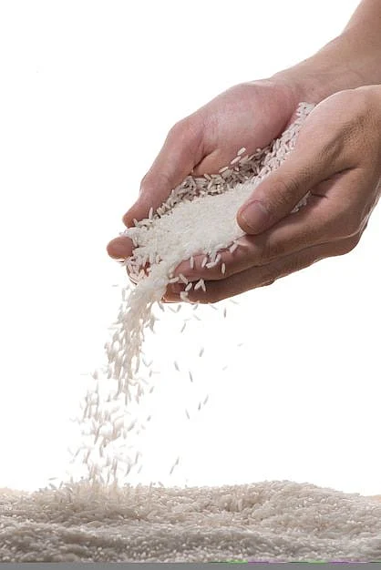 Rice 2