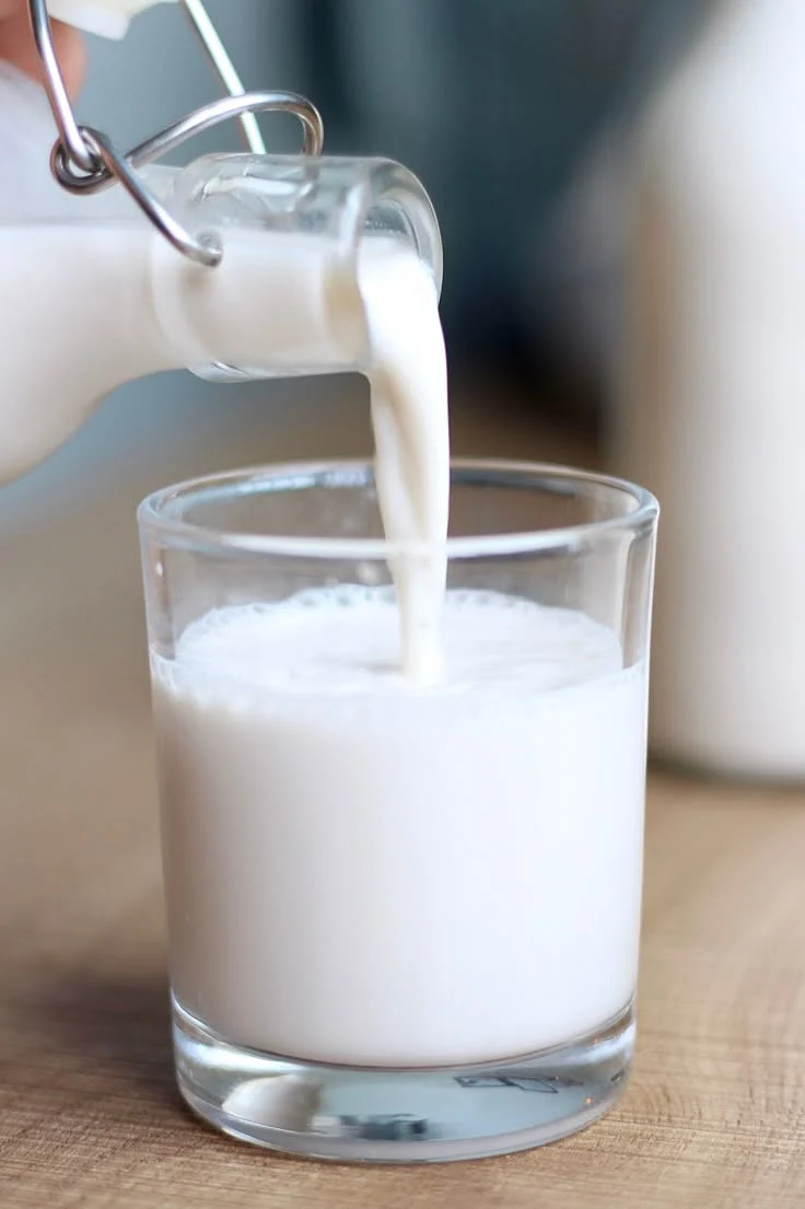 Hot Milk. 8