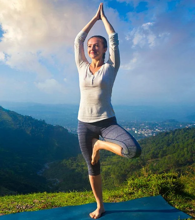 surya namaskar.5