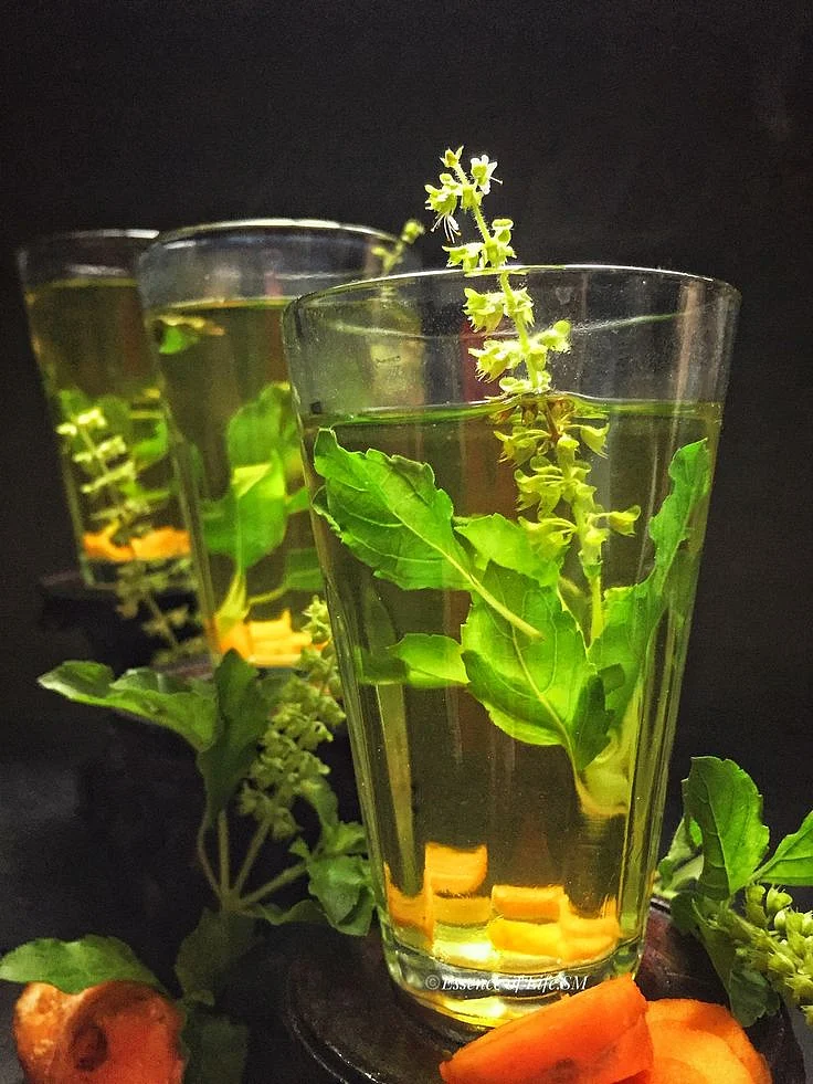 Tulsi water