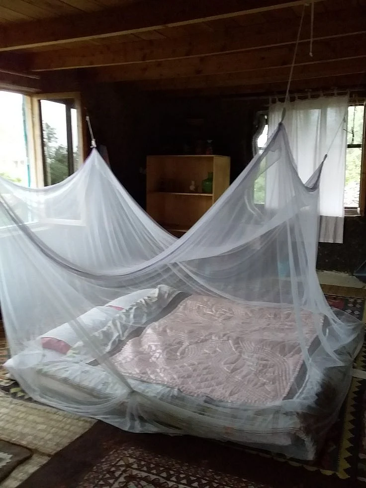 mosquito net