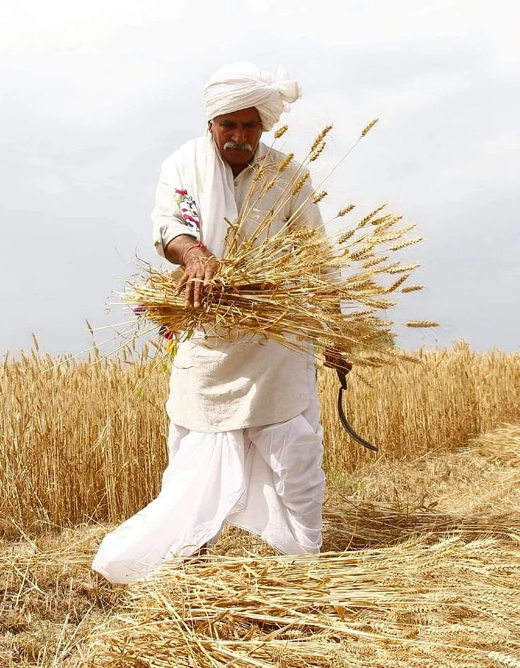 Sirsa Haryana