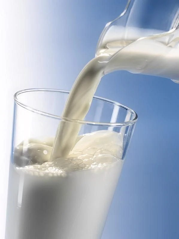 Hot Milk. 4
