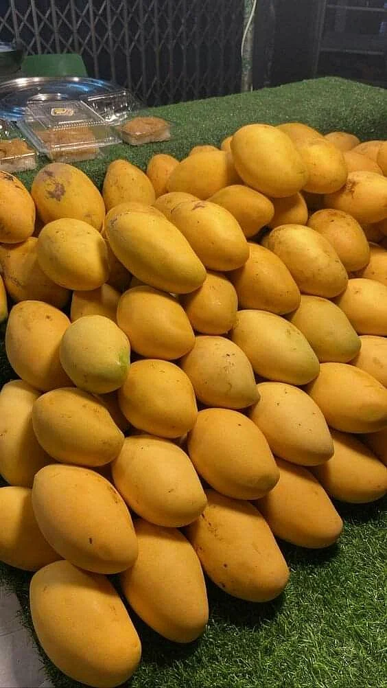 Mango 9