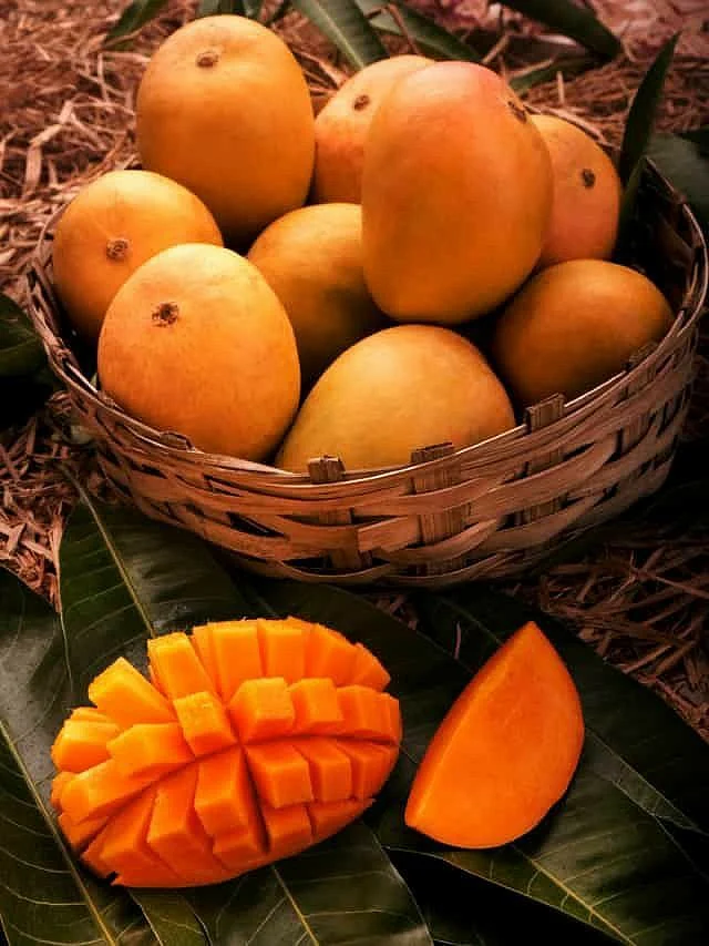 Mango 7