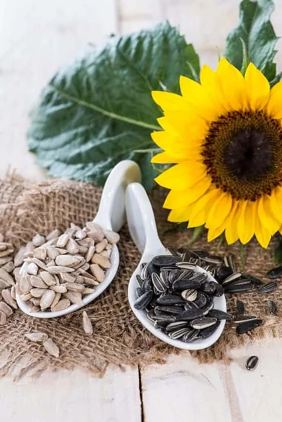 Sunflower Seeds. 5