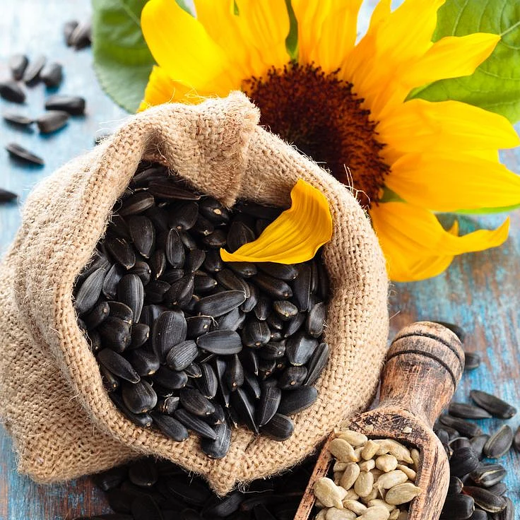 Sunflower Seeds. 4