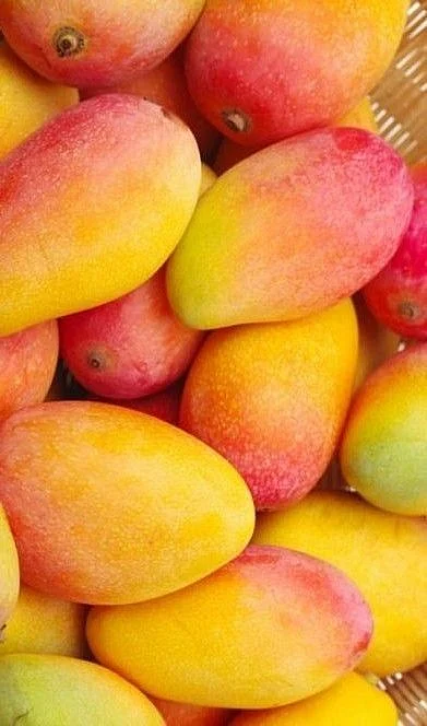 Mango 5
