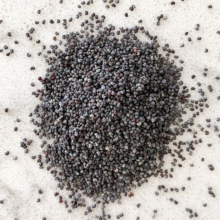 Poppy Seeds. 8