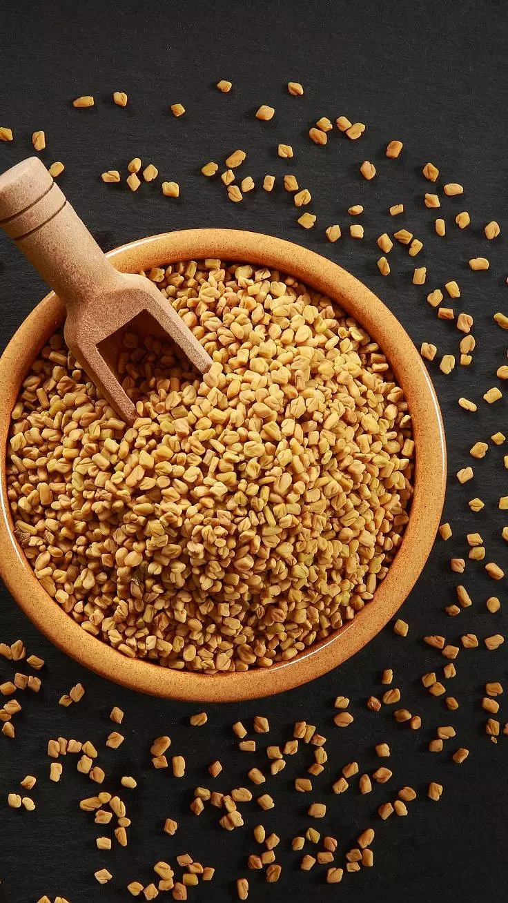 Fenugreek Seeds Water. 4