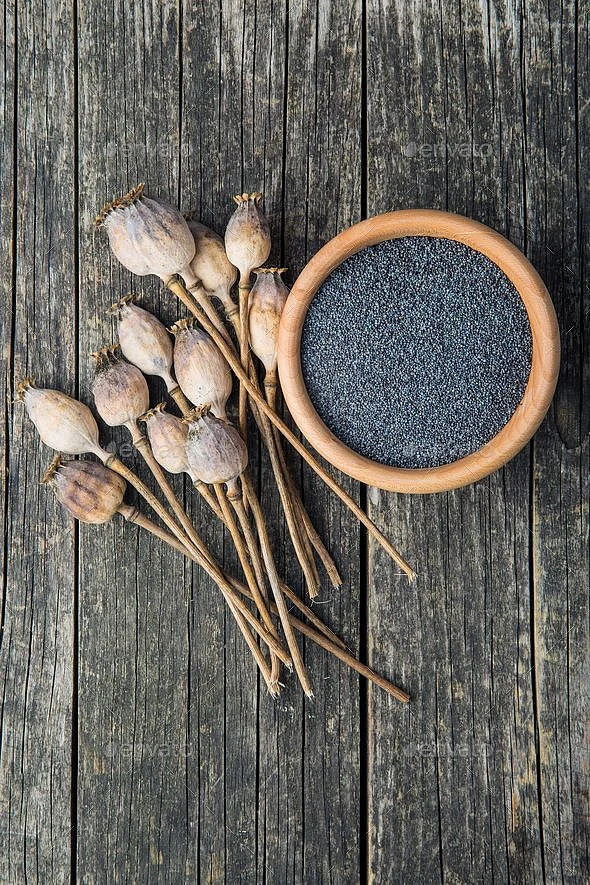 Poppy Seeds. 1