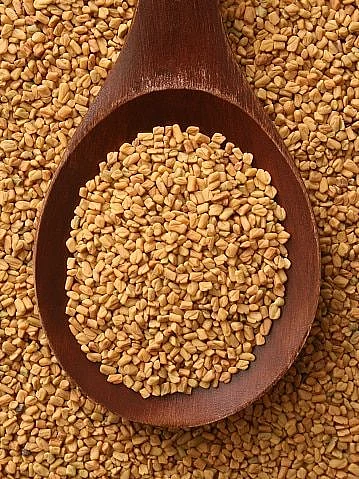 Fenugreek Seeds Water. 6