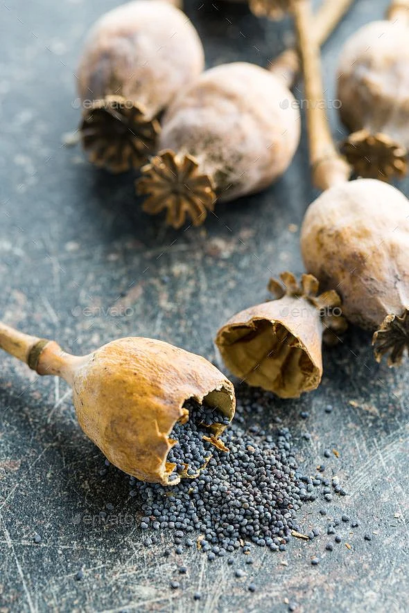 Poppy Seeds. 3