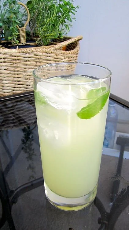 Aloe vera juice. 6