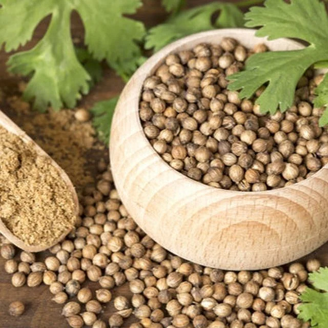 Coriander Seeds.7