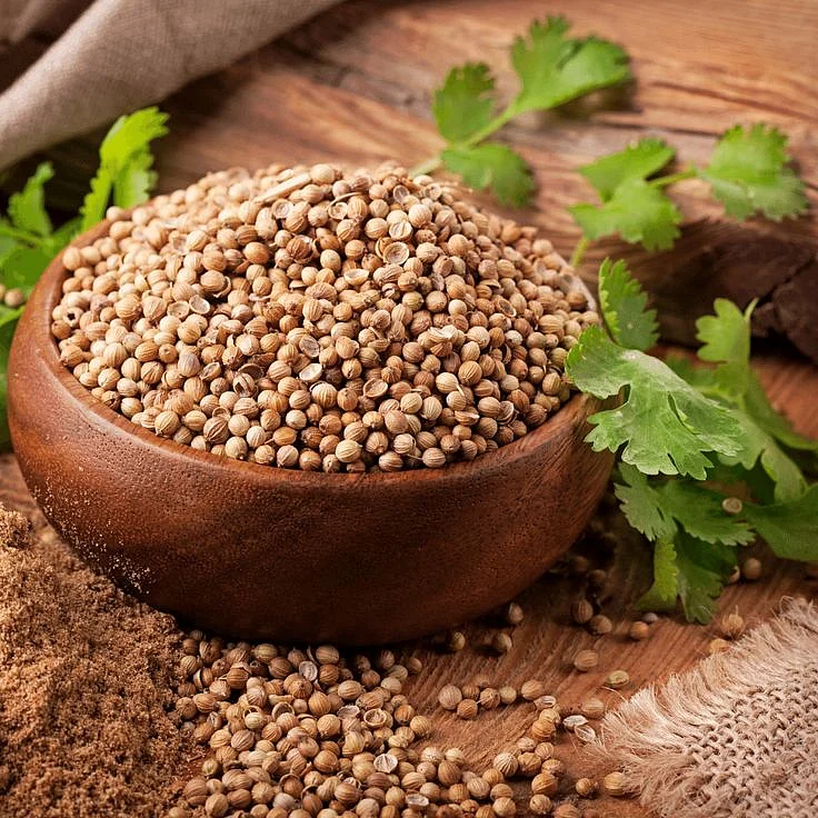 Coriander Seeds.6
