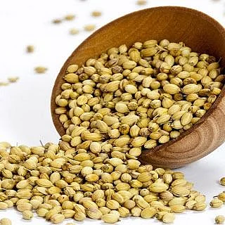 Coriander Seeds.2