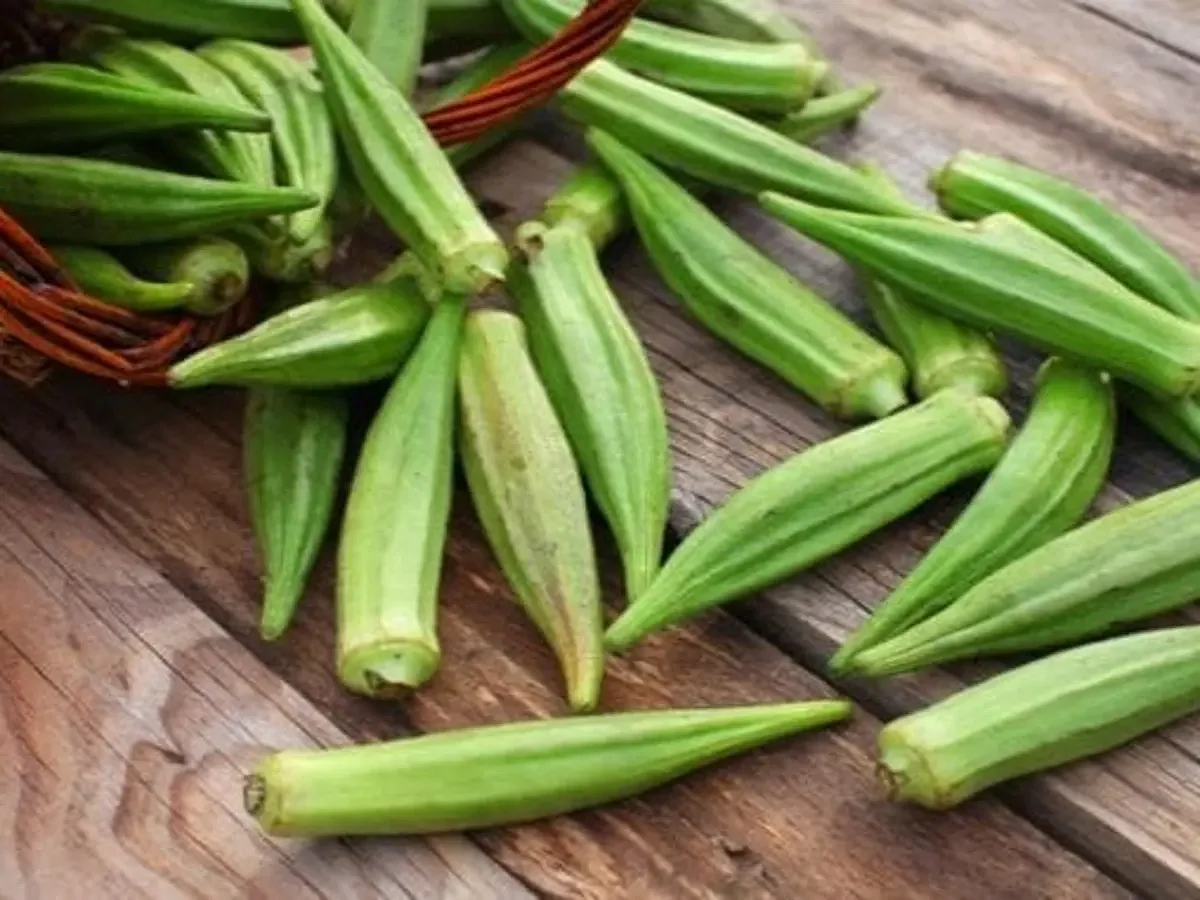 ladyfinger16293742151732607356938